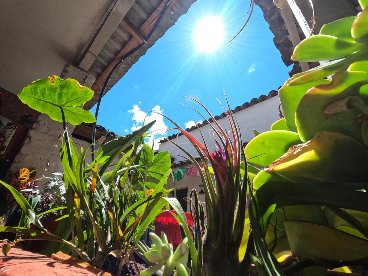 Hostal Posada Mi Casa ซานกริสโตบัล เด ลาสกาซาส ภายนอก รูปภาพ