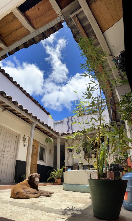 Hostal Posada Mi Casa ซานกริสโตบัล เด ลาสกาซาส ภายนอก รูปภาพ