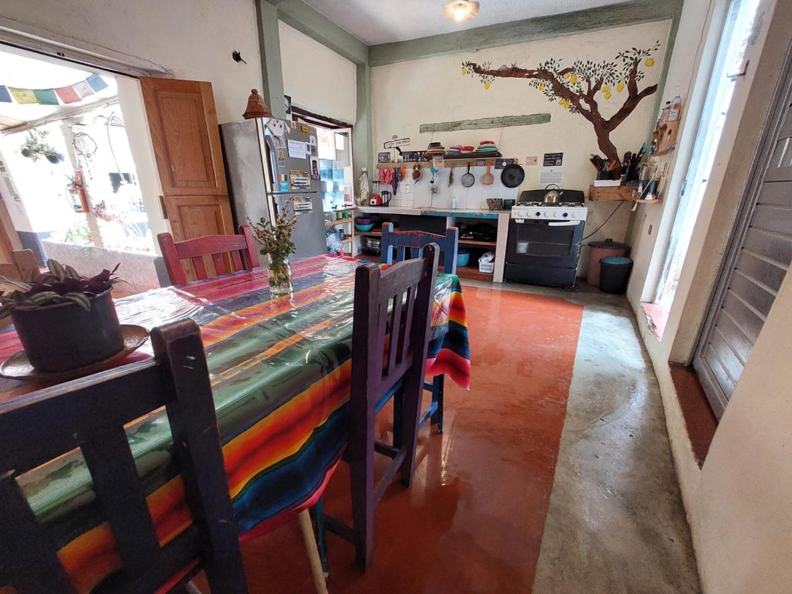 Hostal Posada Mi Casa ซานกริสโตบัล เด ลาสกาซาส ภายนอก รูปภาพ
