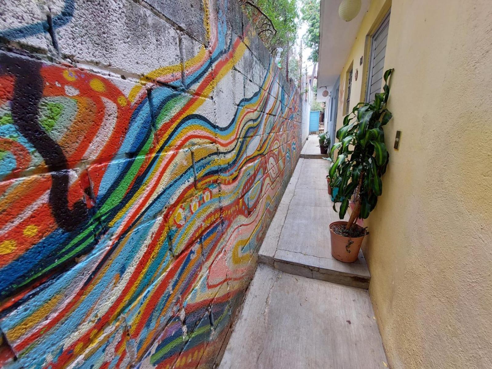 Hostal Posada Mi Casa ซานกริสโตบัล เด ลาสกาซาส ภายนอก รูปภาพ